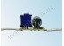 Драйвер светодиода LD 1x3W 220V